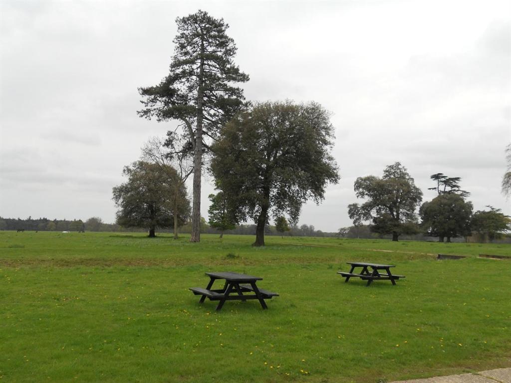 The Stables At Henham Park Bed and Breakfast Southwold Εξωτερικό φωτογραφία