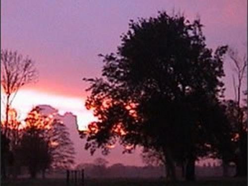 The Stables At Henham Park Bed and Breakfast Southwold Εξωτερικό φωτογραφία